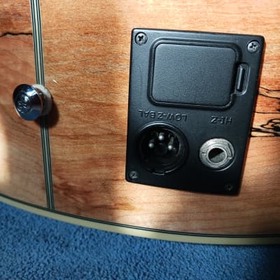 Ibanez EWB20SMFE  Fretless Acoustic/Electric Bass 2008-2016 image 8
