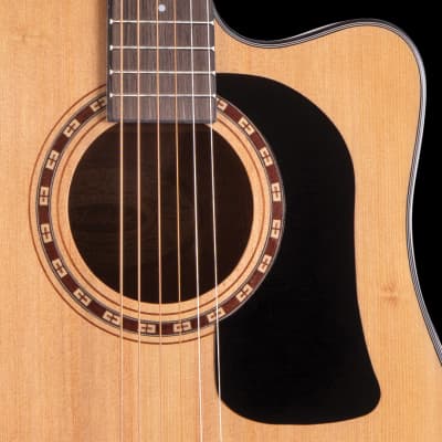 Washburn AD5CEPACK Dreadnought Mahogany Neck 6-String Acoustic-Electric Guitar w/Gig Bag, Straps & Pick image 5