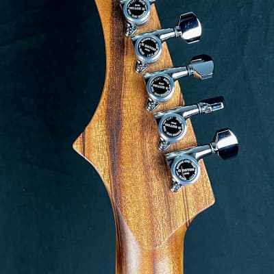 Moon Guitars Blood Moon-T 2021 Redwood Lambertones image 15