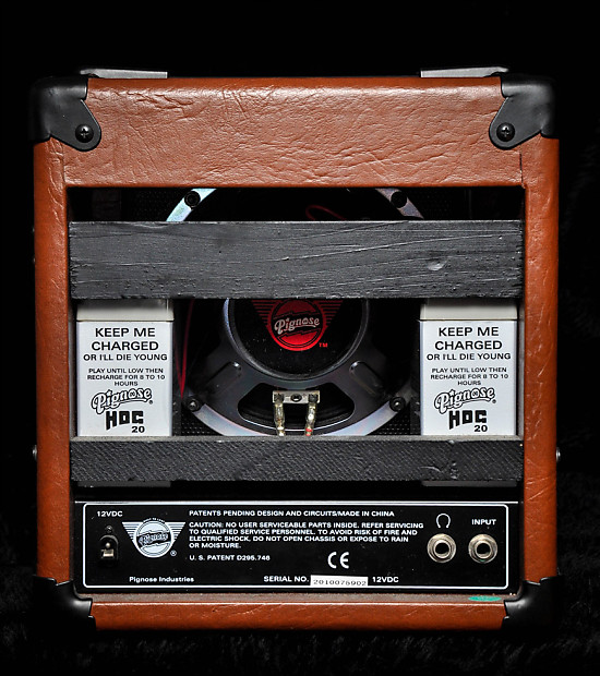 Pignose hog 20 hot sale amp