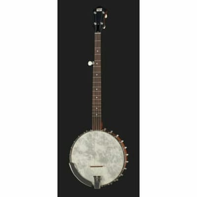 Recording King OT25-BR "Madison" Open Back Banjo, Scooped Fretboard. New with Full Warranty! image 4