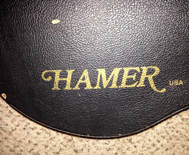 Hamer clearance guitar case