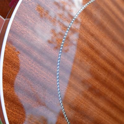 Capek Scarab five string (flathead + archtop tone ring) image 14