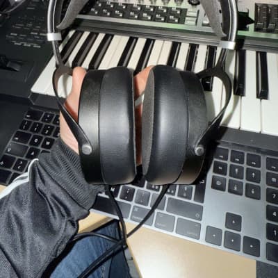 Hifiman Sundara ultima versione - late version Planar headphones (magnetoplanari) image 2