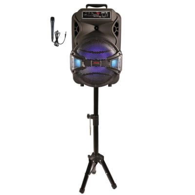 MPD1221- Maxpower Ultra 12 Karaoke Speaker Pack image 1