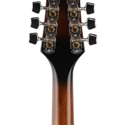 Ibanez M510 A Style Mandolin Dark Violin Sunburst image 7