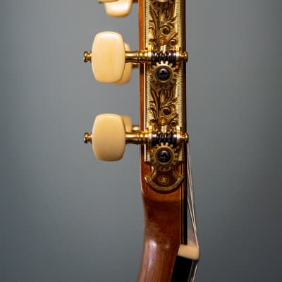 2005 Teodoro Perez, Spruce, Indian Rosewood Concerto Model. Performance video added. image 7