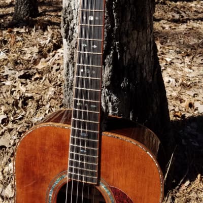 Crystal Forest CFSS Custom Shop Sitka Spruce / Rosewood Dreadnought 2019 Reddish brown image 7