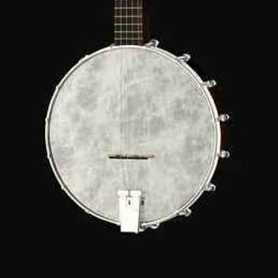 Recording King RKOH-05 Open Back 5-String Banjo. New, with Full Warranty! image 4