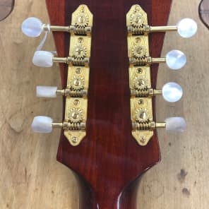 Eastman MDC804 Mando-Cello image 9