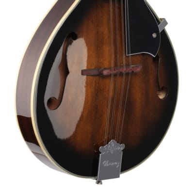Ibanez M510 A Style Mandolin Dark Violin Sunburst image 9
