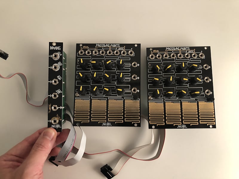 Make Noise 2x Pressure Points + Brains Bundle - Early glossy