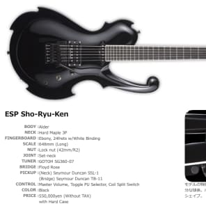 ESP Custom Artist Signature ShoRyuKen 2007 Black | Reverb