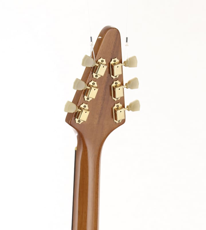 Brian Bacchus Electric Guitar Flying V Type Brian by Bacchus BFV