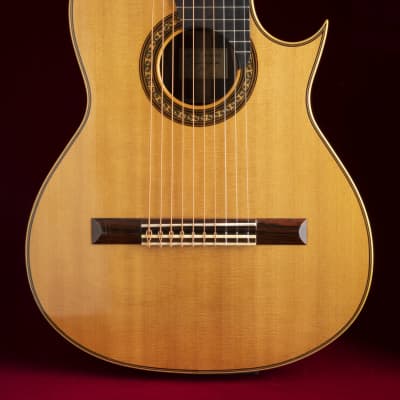 1981 Sergei de Jonge 10 String Classical Guitar - Brazilian Rosewood, Luthier Letter of Appraisal image 6