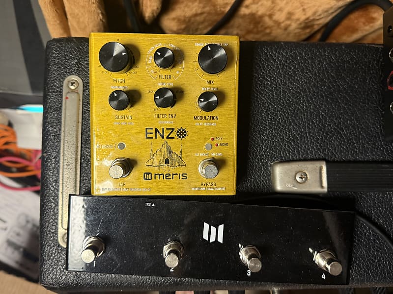 Meris Enzo