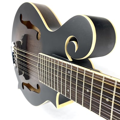 Gold Tone F12 F-Style 12-String Mando-Guitar 2021 Tobacco Sunburst Satin image 3