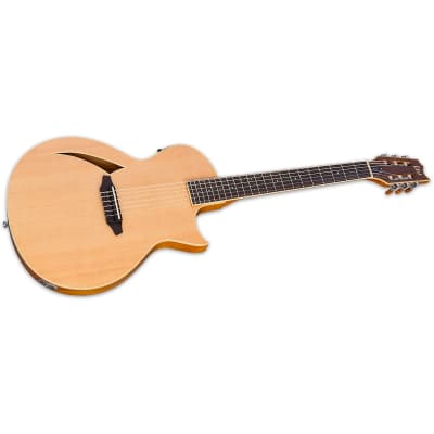 ESP LTD TL-6N Natural Thinline Nylon-String Acoustic-Electric Guitar  TL-6 N - Brand New! image 2