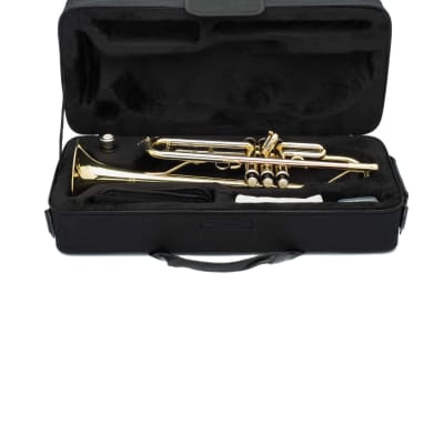 Intermediate Trumpet - brass image 8