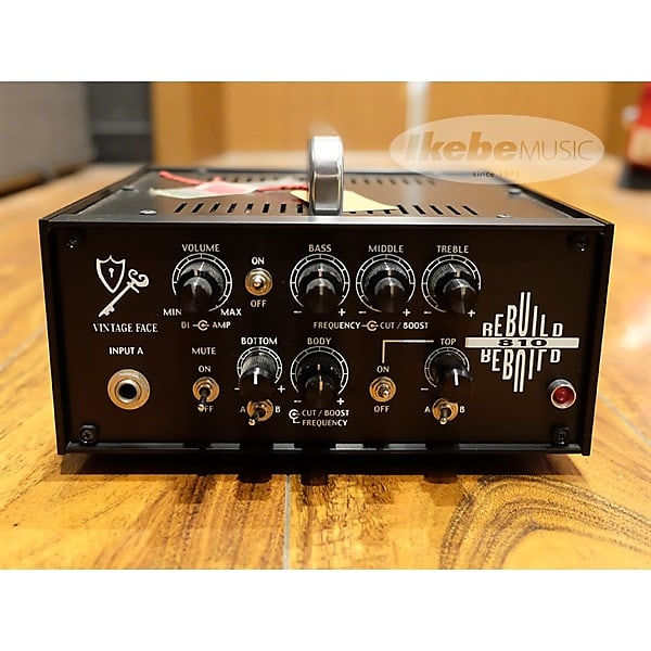 Vintage Face REBUILD810 Series R-810CTM [USED] [Gold Rush Sale]