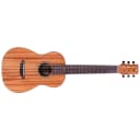Cordoba Mini II MH Nylon String Classical Guitar, Mahogany Top, Back & Sides