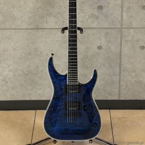 美品 メンテ済 EDWARDS HORIZON E-HR-145NT/QM 美品 メンテ済 EDWARDS HORIZON E-HR-145NT/QM - メルカリ