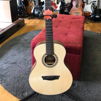 Washburn Apprentice Series AGM5K - Acoustic Guitar w Gig Bag for sale