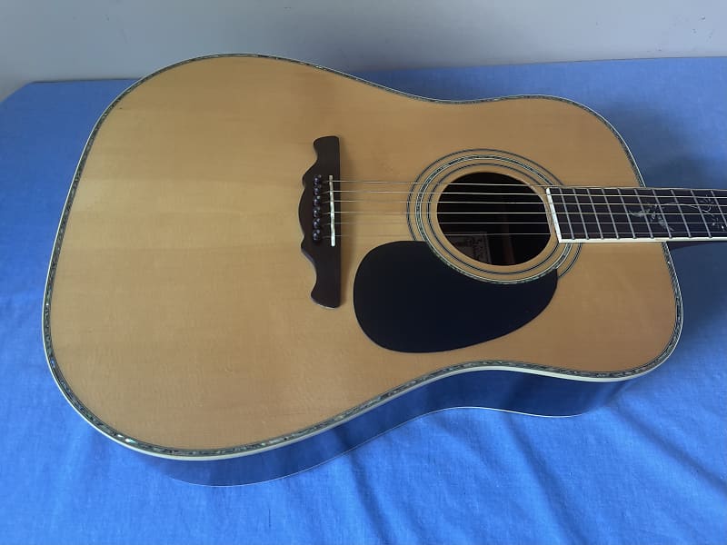 Alvarez PD100S Acoustic Guitar Reverb