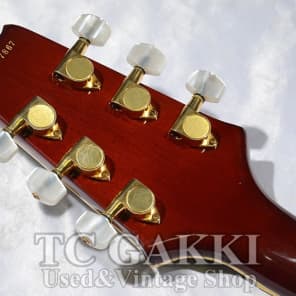 Aria Pro II PE DLX | Reverb
