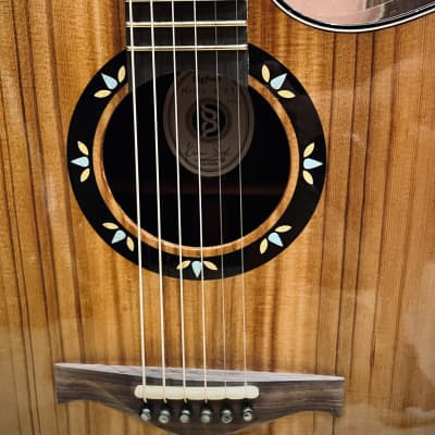 Bigfoot India Mod D Guitar w/ Sinker Cedar & OHSC (Ex Jason Kostal) image 3