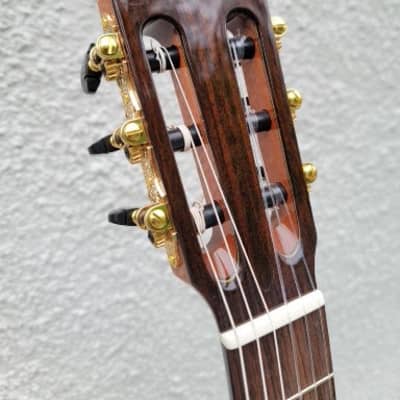 Cordoba C9 Parlor Classical Guitar Natural 2023 image 9