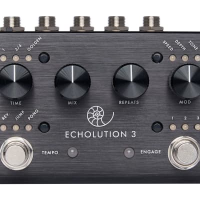 Pigtronix Echolution 3 Multi-Tap Stereo Delay image 1