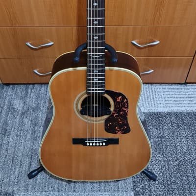 Washburn D-21 S/N Electro Acoustic Guitar with Fishman Neo-D Humbucking Acoustic Pickup for sale