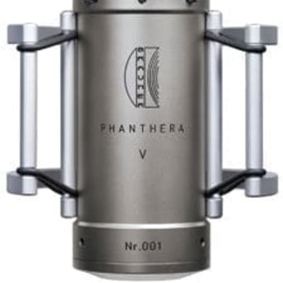 Brauner Phanthera V FET Microphone image 1