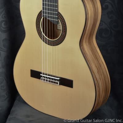 Raimundo Tatyana Ryzhkova Signature model, Spruce top classical guitar image 16