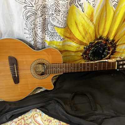 Washburn NV-100C Acoustic Electric Nylon Classical Guitar w Case for sale