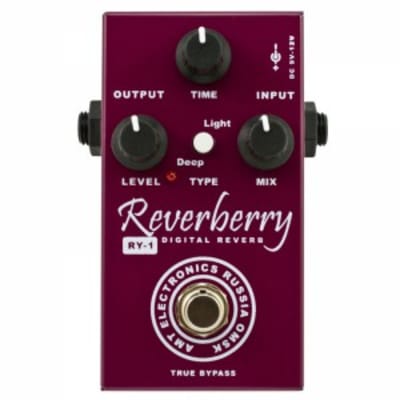 AMT Reverberry RY-1(Digital Reverb) for sale