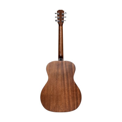 Acoustic Guitar JAMES NELIGAN Dov ACFI + Fishman Pickup - solid mahogany top image 2