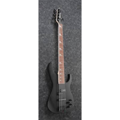 Ibanez RGA Standard RGB305 5-String Electric Bass Guitar, Jatoba Fretboard, Black Flat image 8