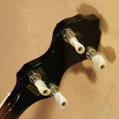 2022 Gold Tone OT-800LN Longneck 5-String Banjo (VIDEO! Fresh Setup, Ready) image 10