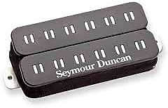 【2024新春福袋】 B Tb1 Pa Duncan Seymour Original Reverb | Axis Parallel ギター