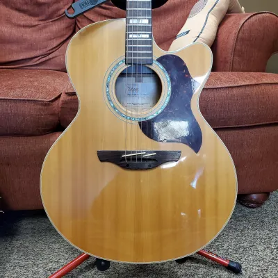 Takamine EG523 SC Jumbo Acoustic/Electric Guitar W/Hardshell Case image 1