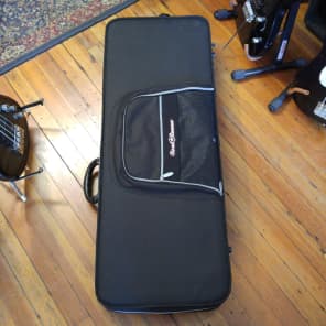 Road runner polyfoam guitar case on sale