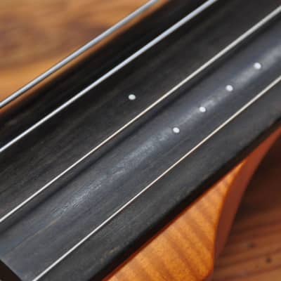 NS Design CR4 Double Bass Amber image 9