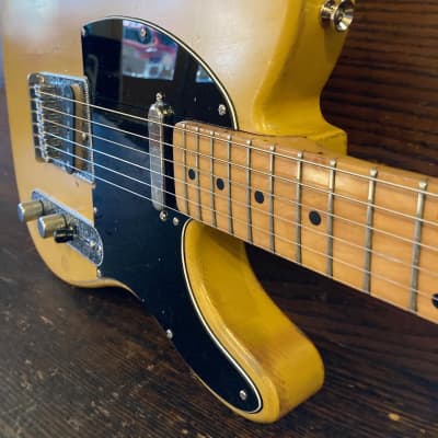 DiPinto Guitars — New & Used