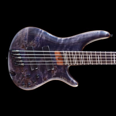 Ibanez SRMS805-DTW Bass Workshop 2019 - Present - Deep
