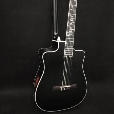 6 Strings Classical/ 6 Strings Acoustic Double Neck, Double Sided Busuyi Guitar NPS66 2020. image 4