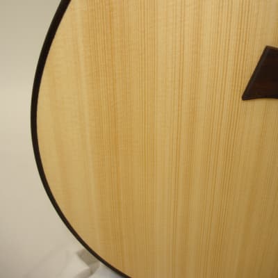 Taylor GTe Urban Ash Acoustic Electric Guitar Sitka Spruce Top, Urban Ash Back & Sides w/ Aerocase image 8