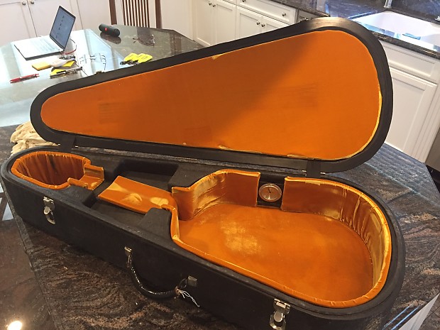 Mark leaf guitar case on sale
