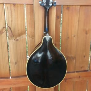 Late 40's Gibson A-50 Mandolin Great Player & Sound Weekend Blowout Sale image 4